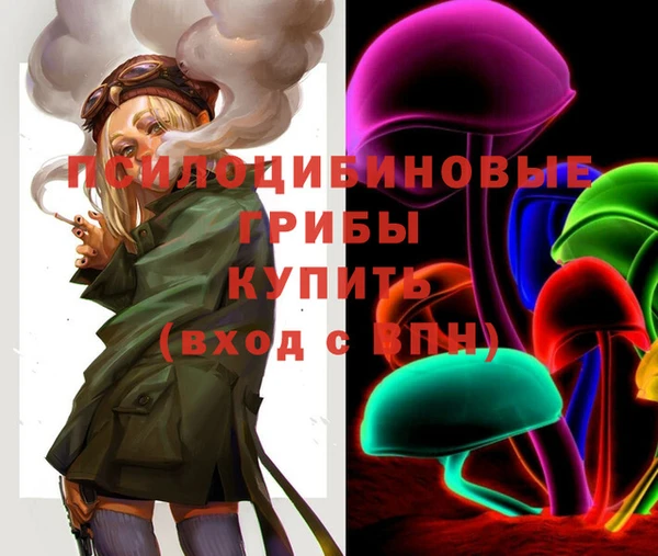 ГАЛЛЮЦИНОГЕННЫЕ ГРИБЫ Армянск