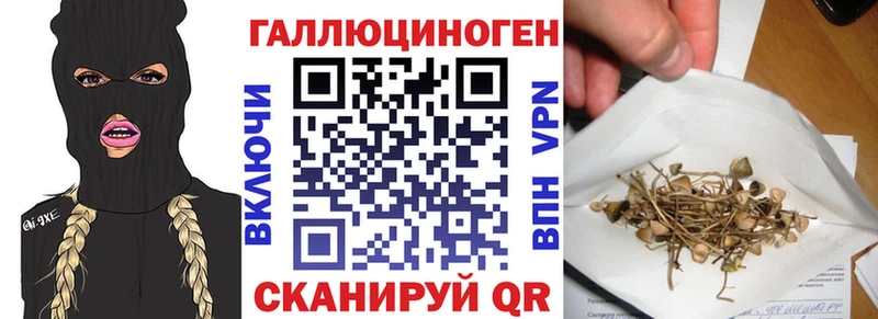 хочу   Белогорск  блэк спрут сайт  Псилоцибиновые грибы прущие грибы 